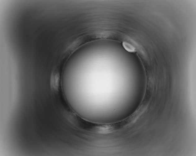 X0000099960118200805301321