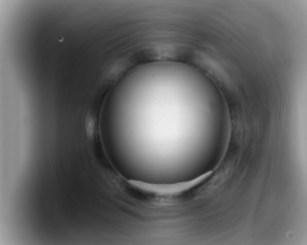 X0000099960123200805301321