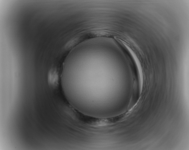 X0000099960124200805301321