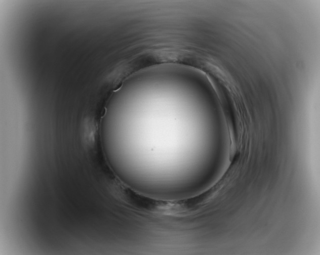 X0000099960125200805301321