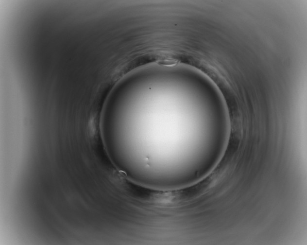 X0000099960131200805301321