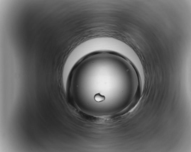 X0000099960136200805301321