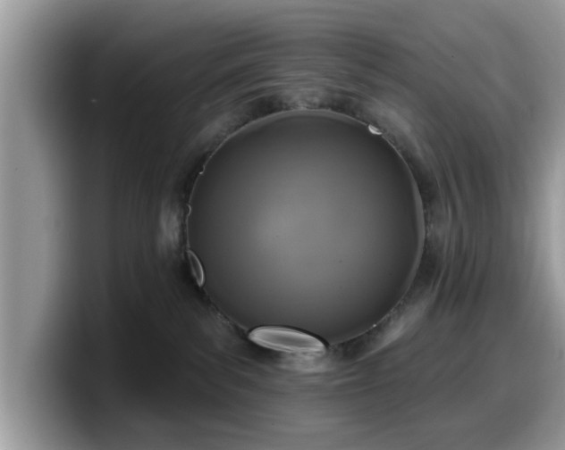X0000099960139200805301321