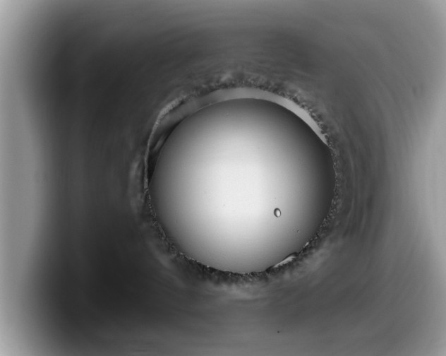 X0000099960144200805301321