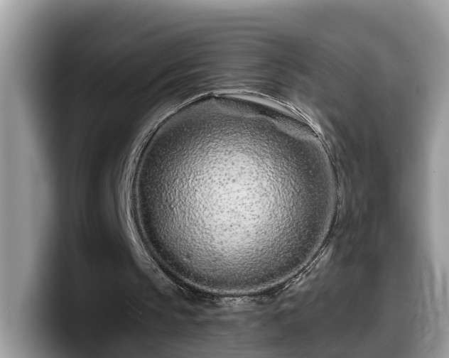 X0000099960145200805301321