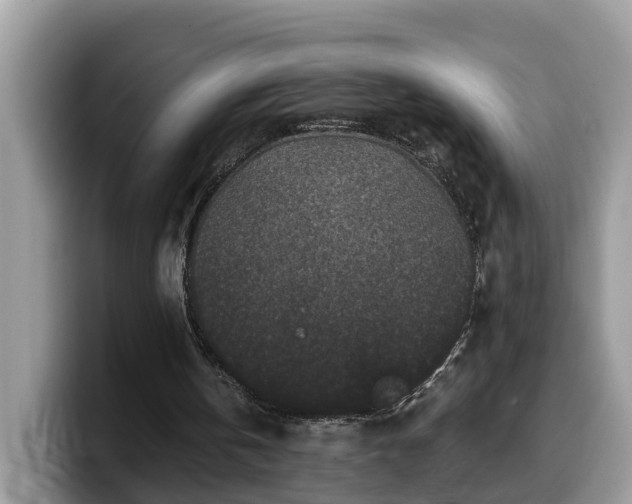 X0000099960146200805301321