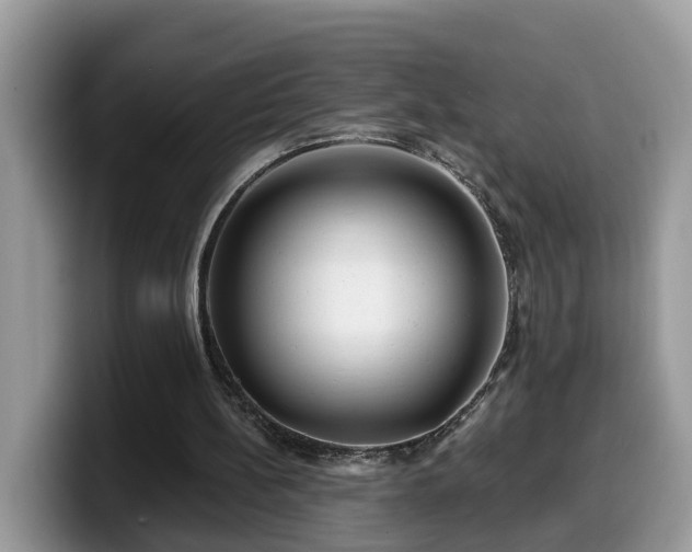 X0000099960148200805301321