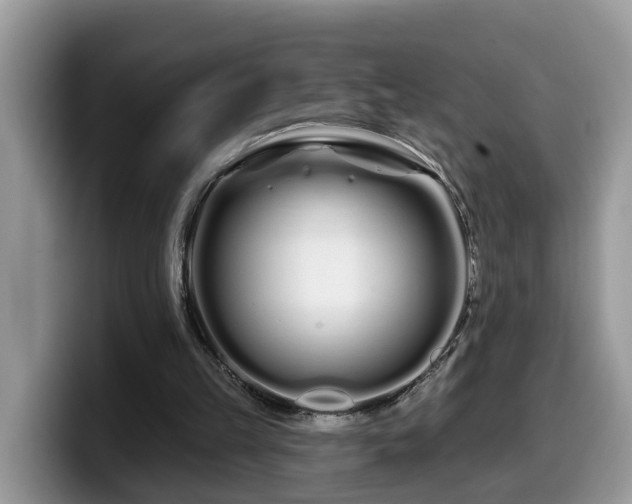 X0000099960149200805301321