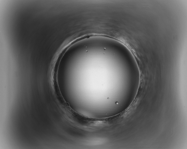 X0000099960151200805301321