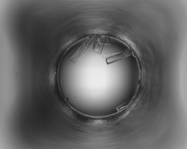X0000099960153200805301321