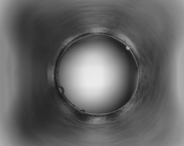 X0000099960155200805301321