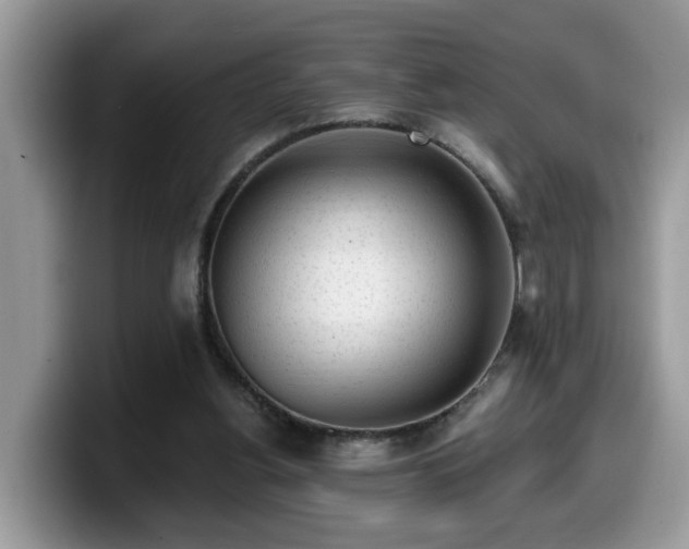 X0000099960156200805301321