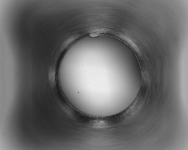 X0000099960159200805301321