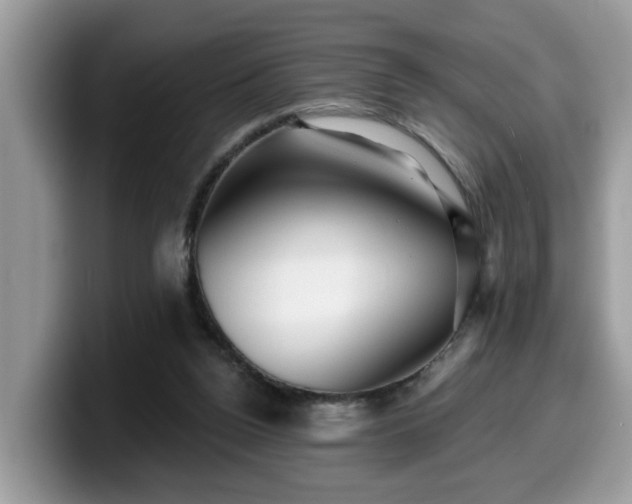 X0000099960160200805301321