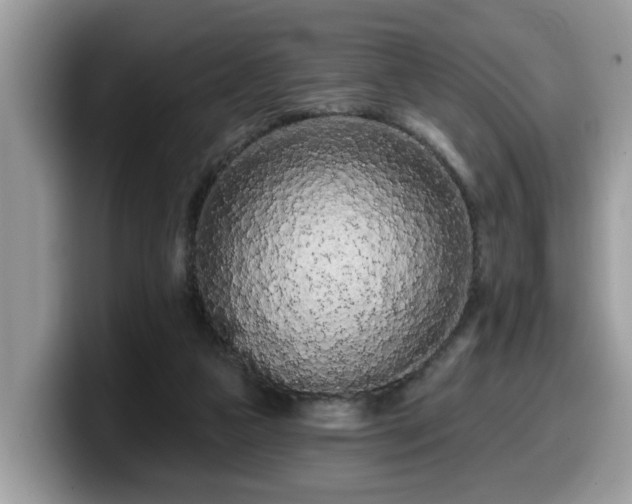 X0000099960161200805301321