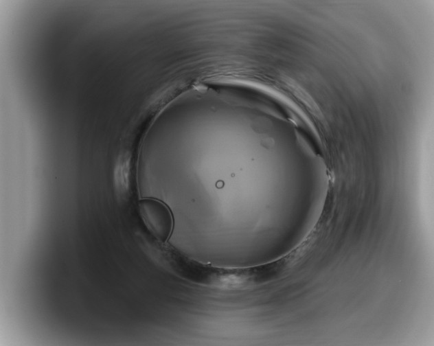 X0000099960163200805301321