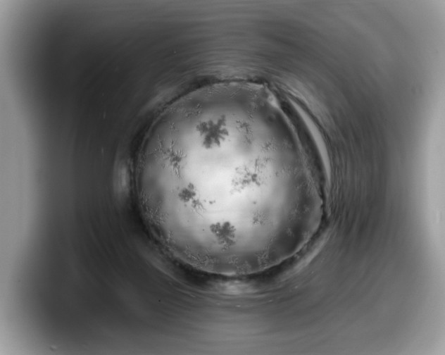 X0000099960165200805301321