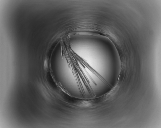 X0000099960166200805301321