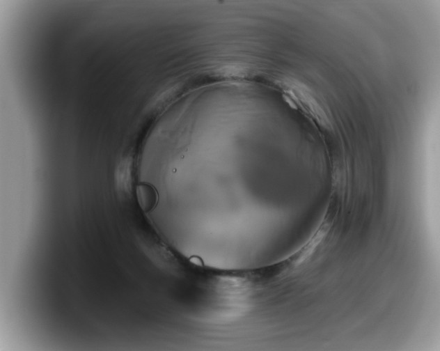 X0000099960167200805301321