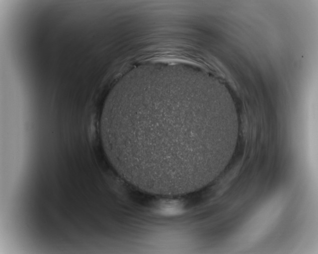 X0000099960169200805301321