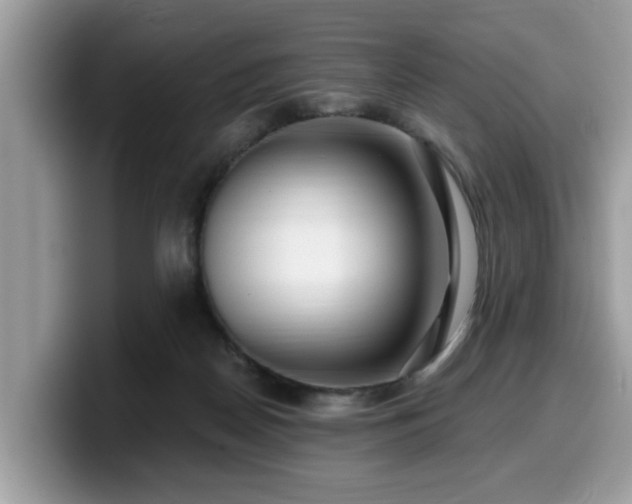 X0000099960170200805301321