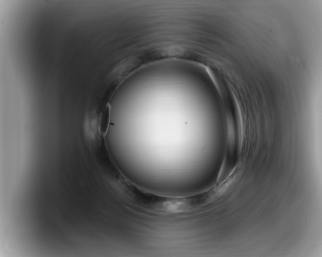 X0000099960172200805301321