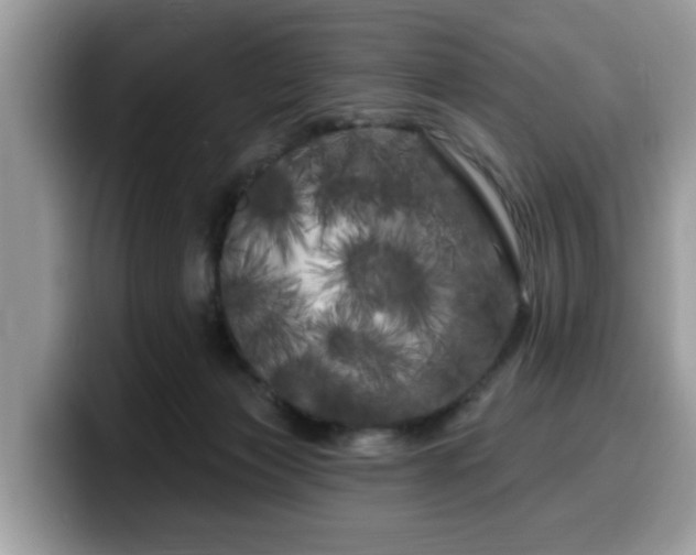 X0000099960173200805301321