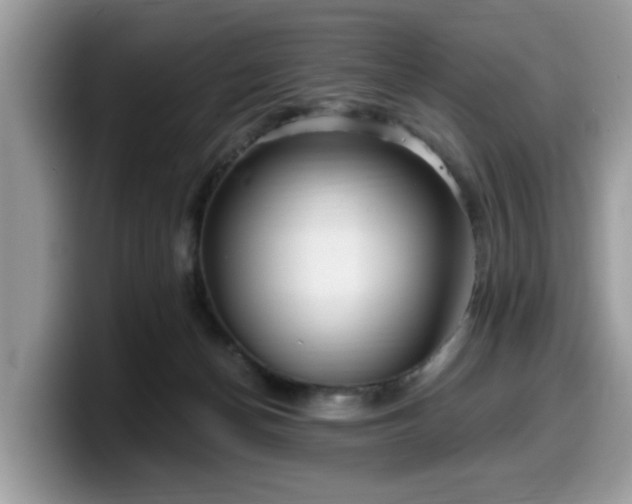 X0000099960174200805301321