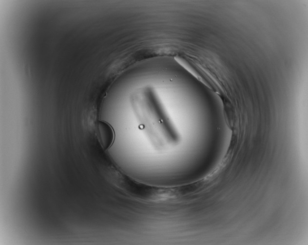 X0000099960175200805301321