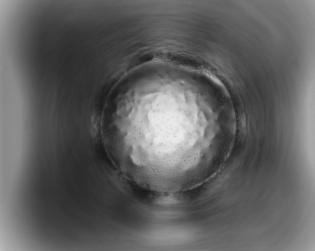X0000099960177200805301321