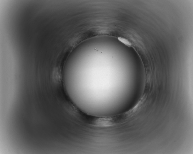 X0000099960179200805301321