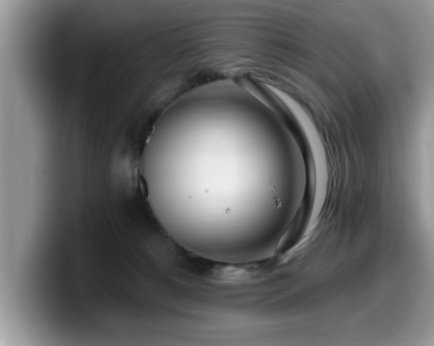 X0000099960180200805301321
