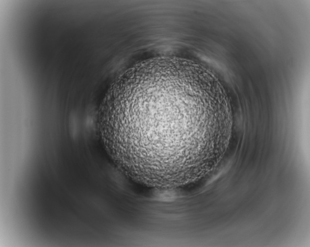 X0000099960181200805301321