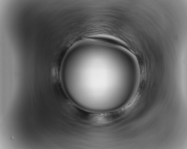 X0000099960182200805301321