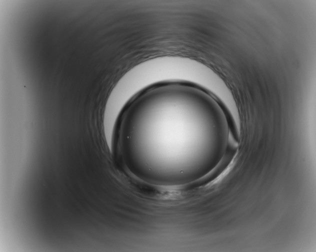 X0000099960186200805301321