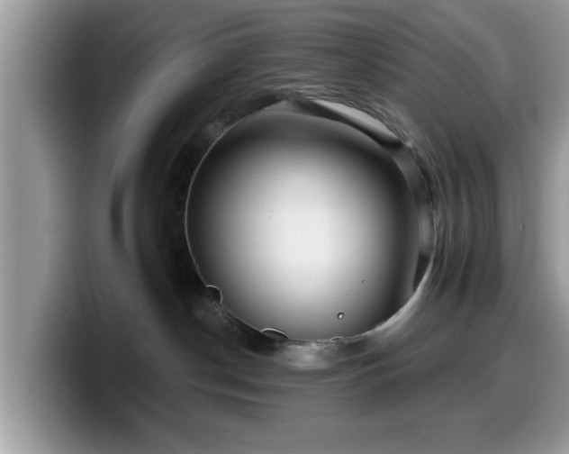 X0000099960190200805301321
