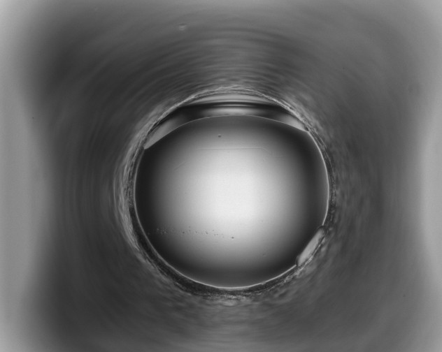 X0000099960193200805301321