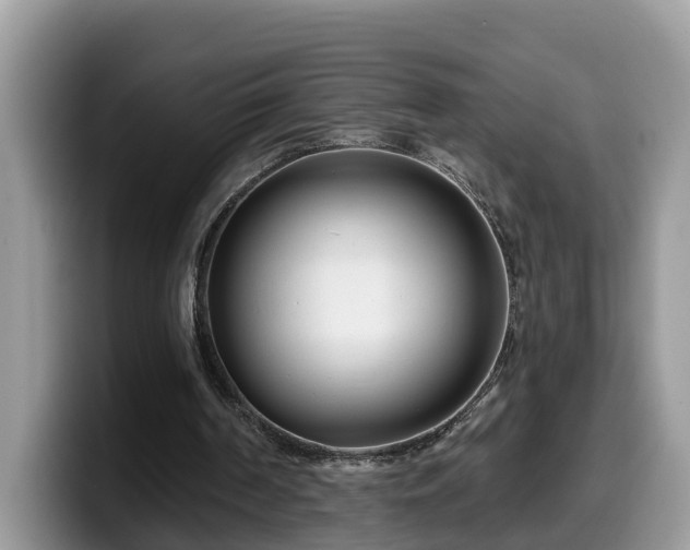 X0000099960194200805301321