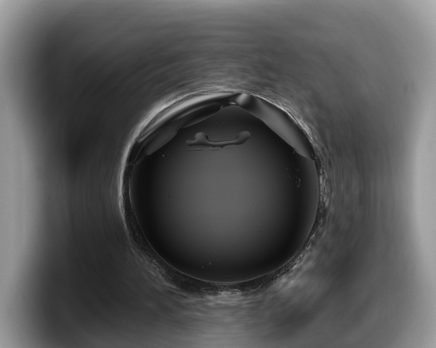 X0000099960196200805301321