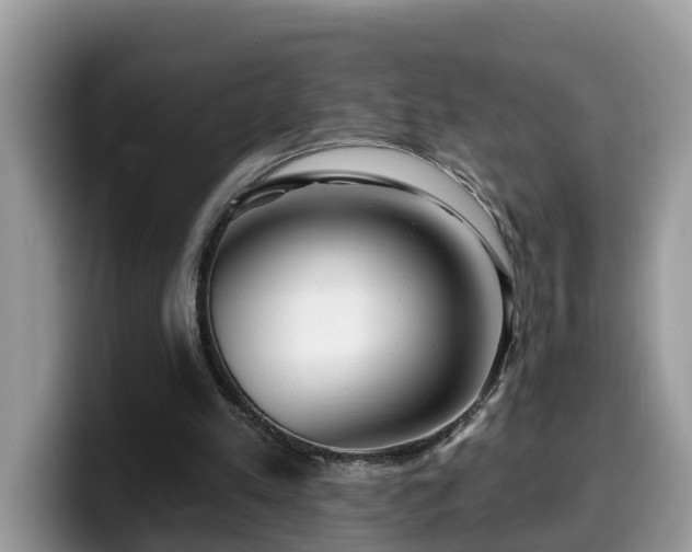 X0000099960197200805301321