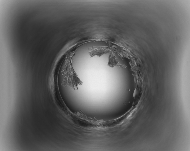 X0000099960198200805301320