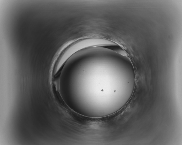X0000099960200200805301320