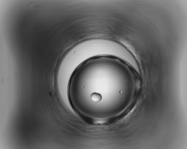 X0000099960201200805301320
