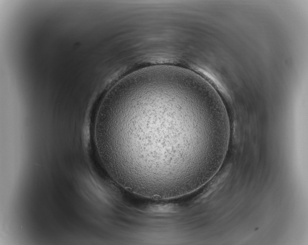 X0000099960202200805301320