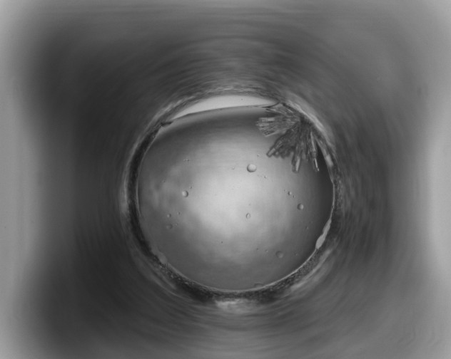 X0000099960203200805301320