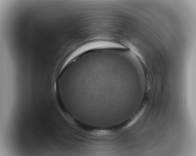 X0000099960205200805301320