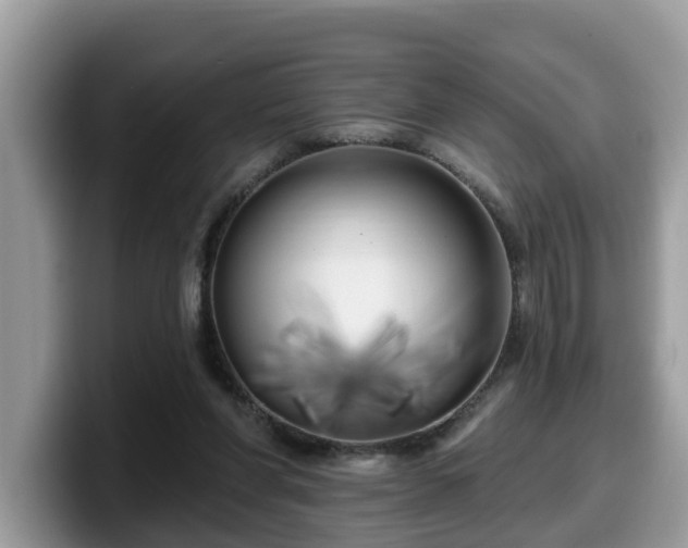X0000099960206200805301320