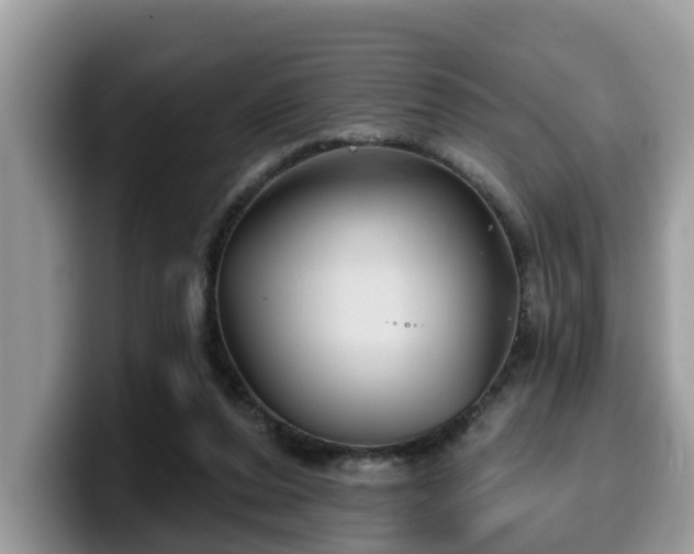 X0000099960208200805301320