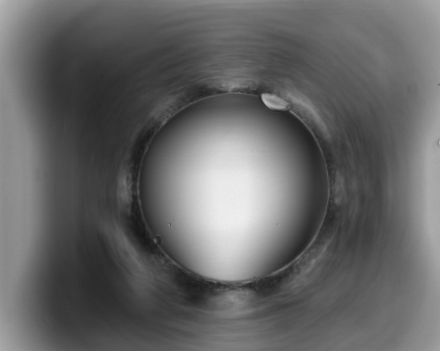 X0000099960210200805301320
