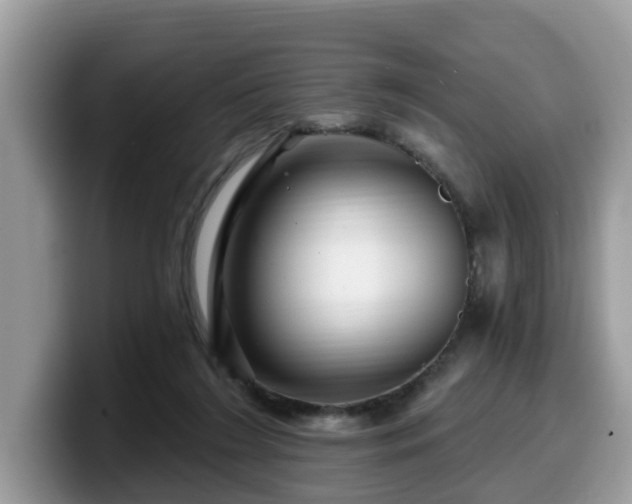 X0000099960212200805301320